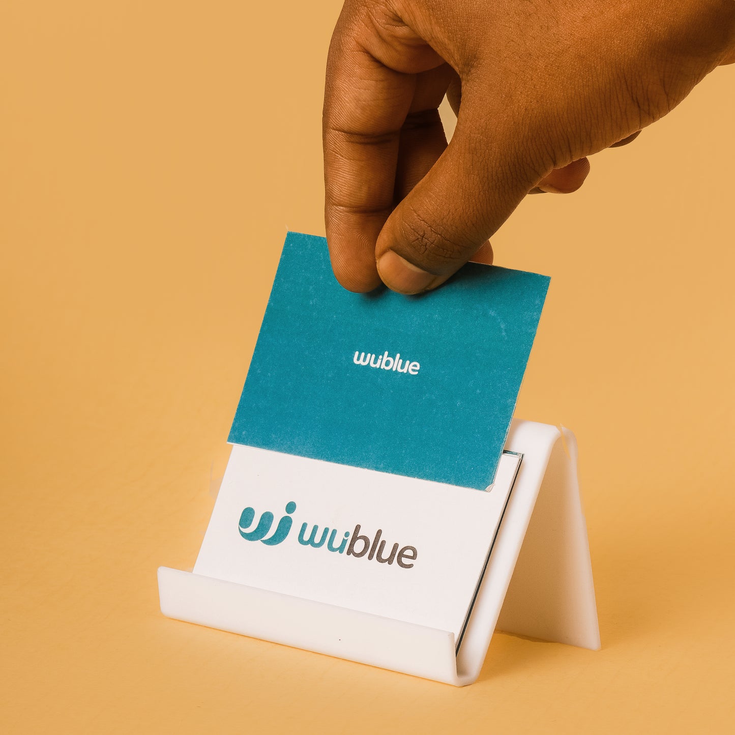Wublue Brief Business Card Holder